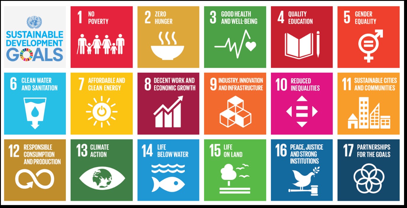 The 17 UN Sustainable Development Goals - SDG 5 = Gender Equality